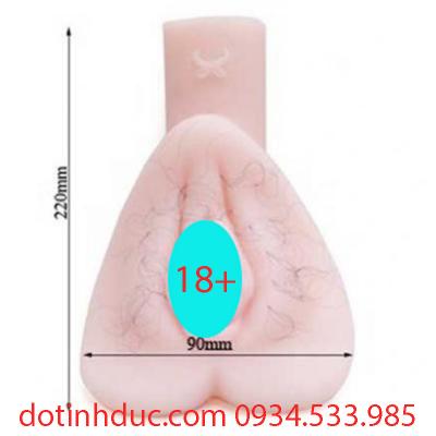 ÂM ĐẠO GIẢ HÌNH TRÁI TIM
